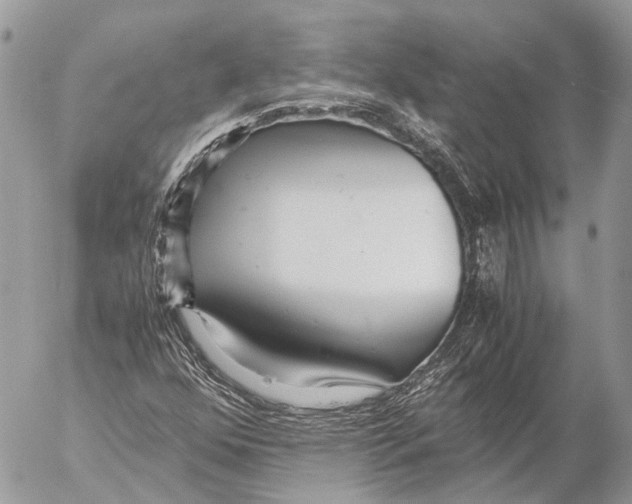 X0000053071352200508081209