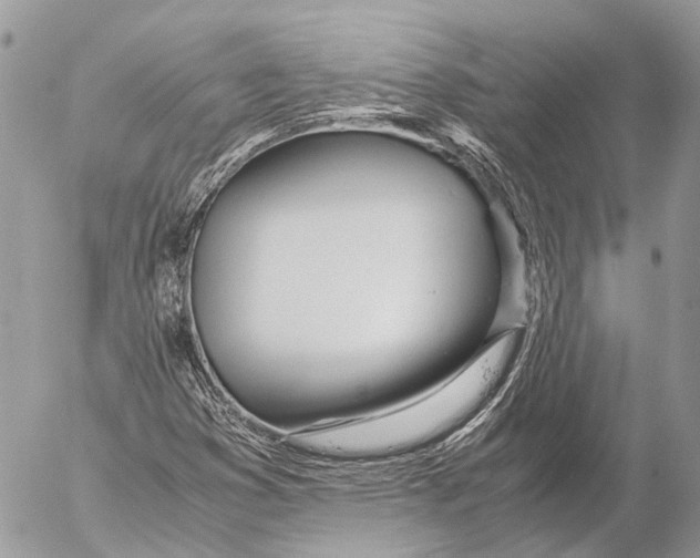 X0000053071353200508081209