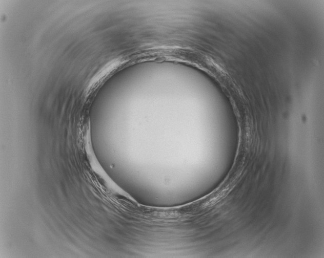 X0000053071354200508081209