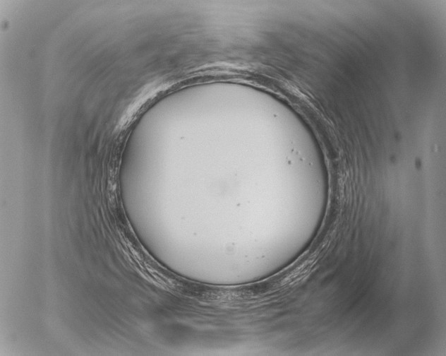 X0000053071355200508081209