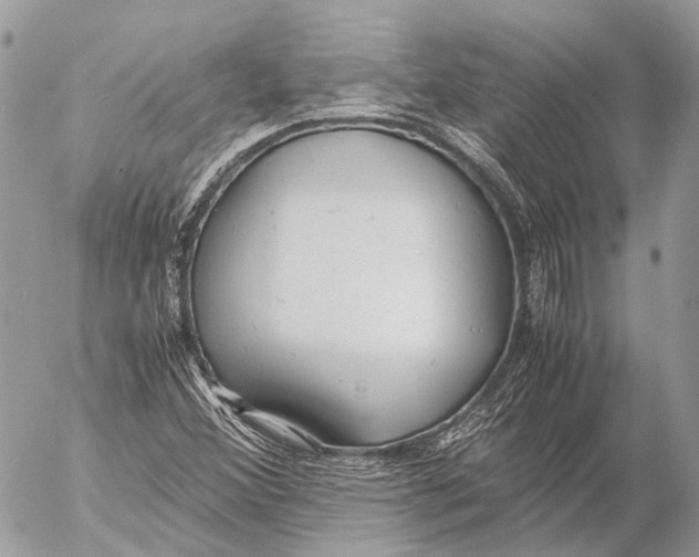 X0000053071356200508081209