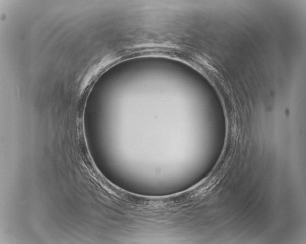 X0000053071357200508081209