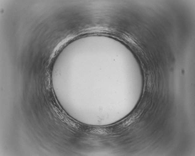 X0000053071358200508081209