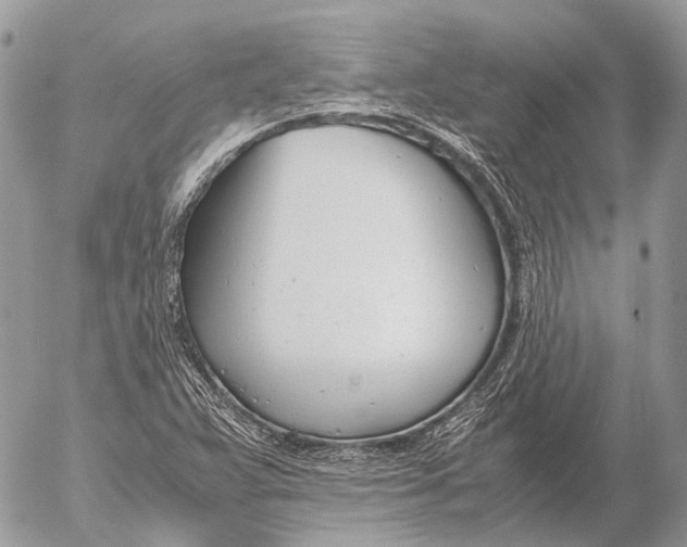 X0000053071359200508081209