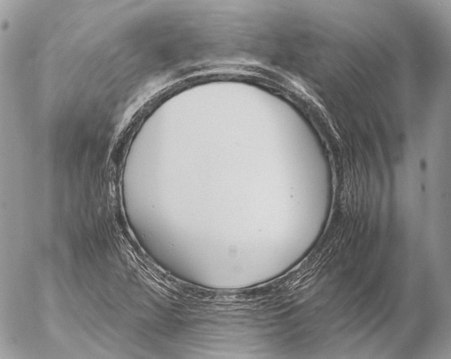 X0000053071360200508081209