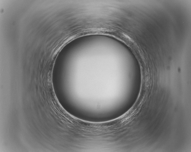 X0000053071361200508081209