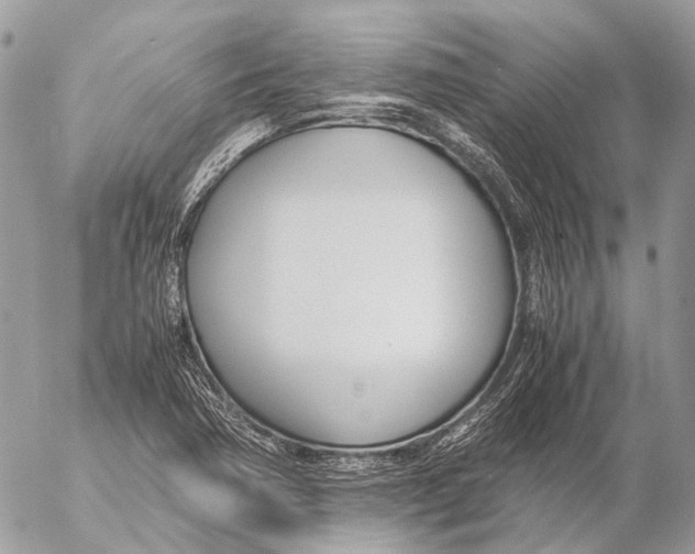 X0000053071362200508081209