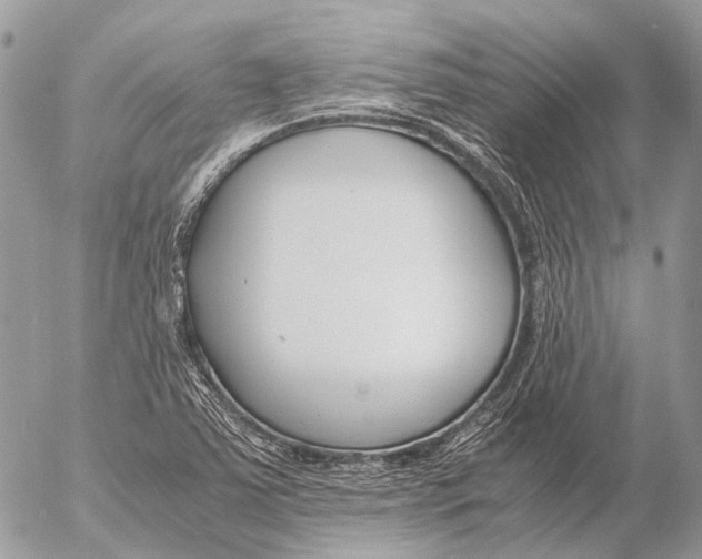 X0000053071363200508081209