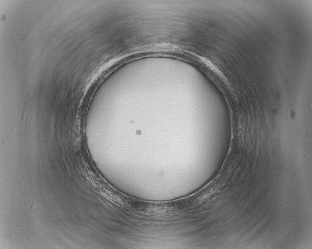 X0000053071364200508081209