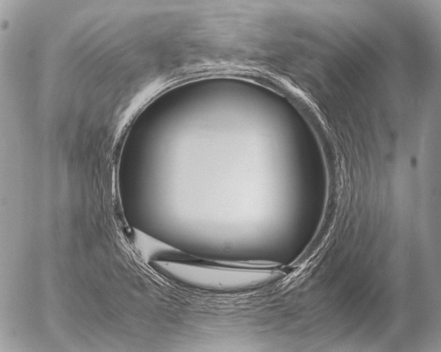 X0000053071365200508081209