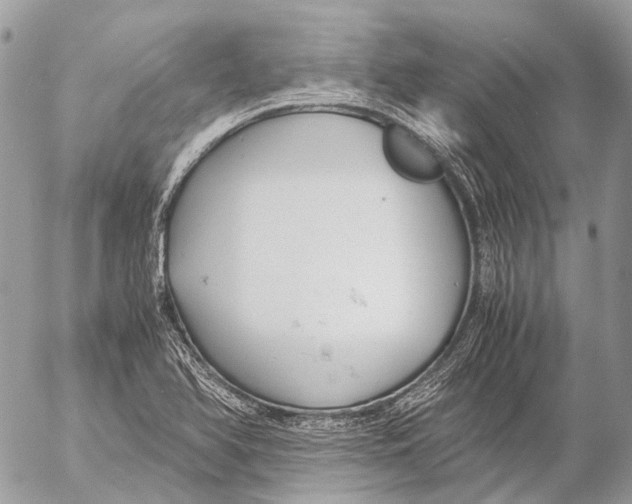 X0000053071366200508081209