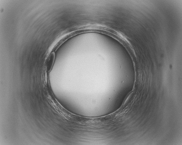 X0000053071368200508081209