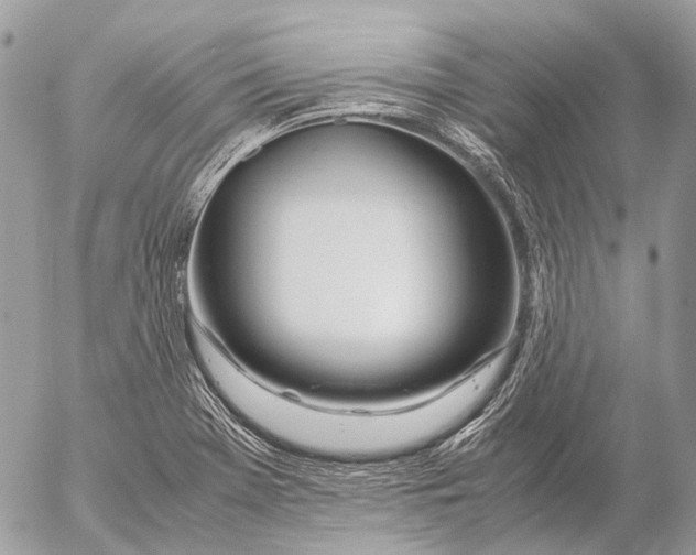 X0000053071369200508081209