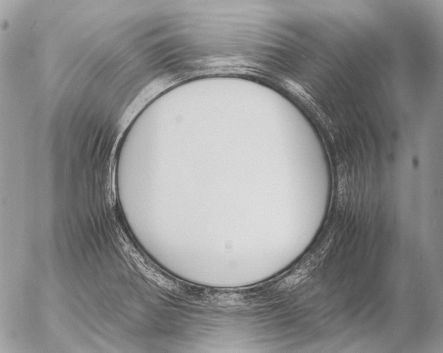 X0000053071370200508081209