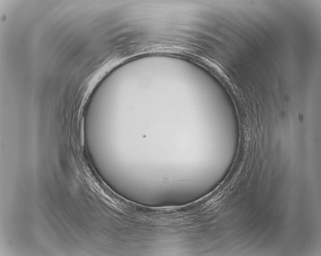 X0000053071371200508081209