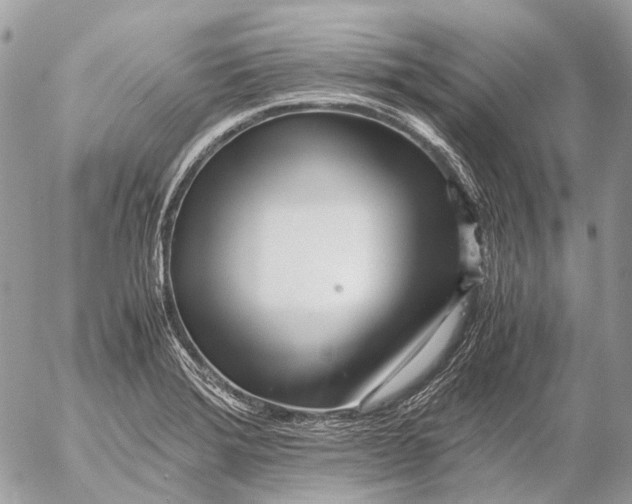 X0000053071372200508081209