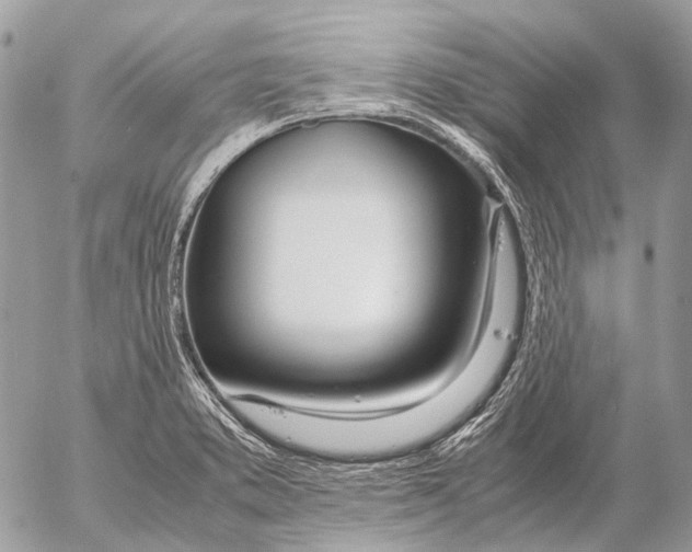 X0000053071373200508081209