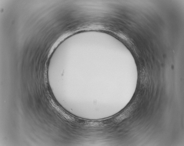 X0000053071374200508081209