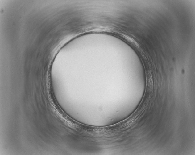 X0000053071375200508081209