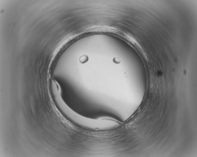 X0000053071376200508081209