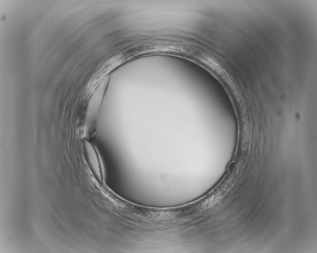 X0000053071377200508081209