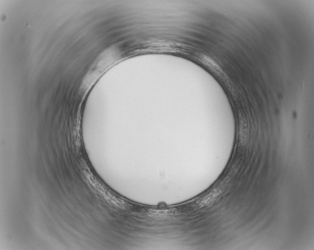 X0000053071378200508081209