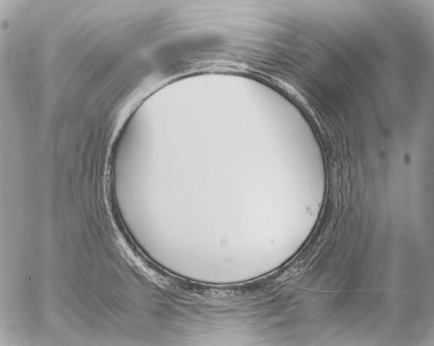 X0000053071379200508081209