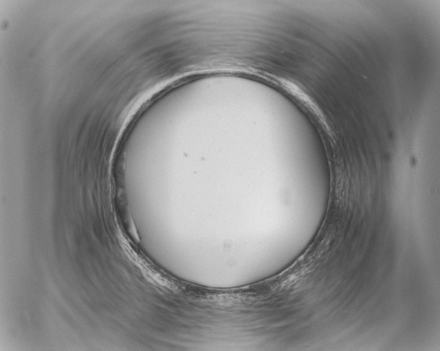 X0000053071380200508081209