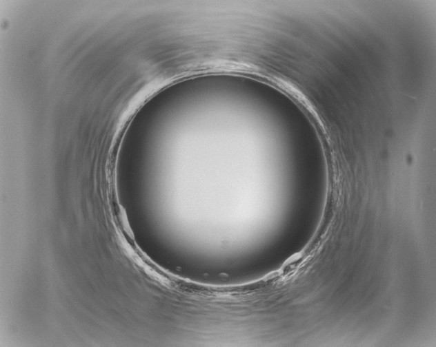 X0000053071381200508081209