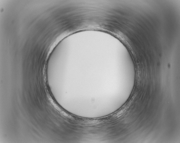 X0000053071382200508081209