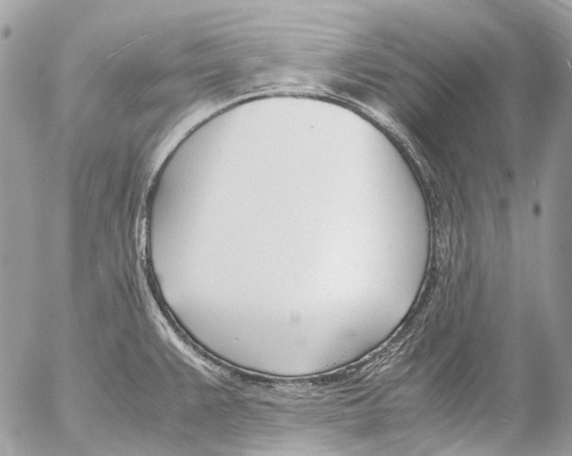 X0000053071383200508081208