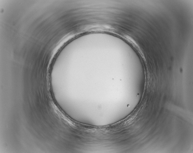 X0000053071384200508081208