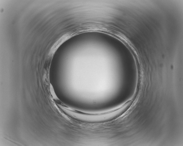 X0000053071385200508081208