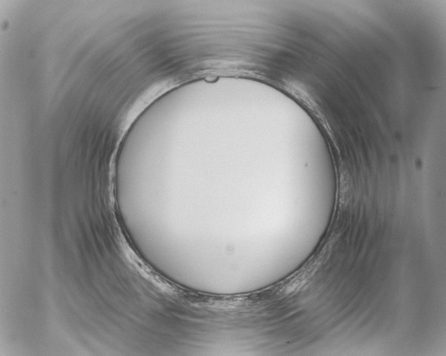 X0000053071386200508081208