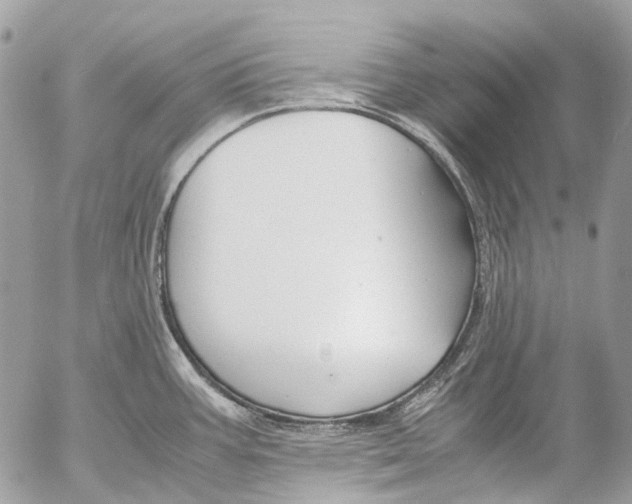 X0000053071387200508081208