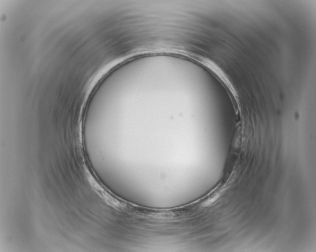 X0000053071388200508081208