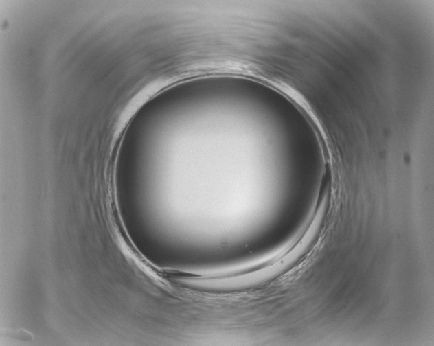 X0000053071389200508081208