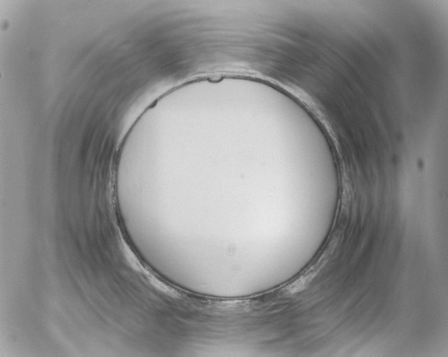 X0000053071390200508081208