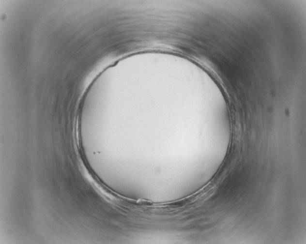 X0000053071391200508081208