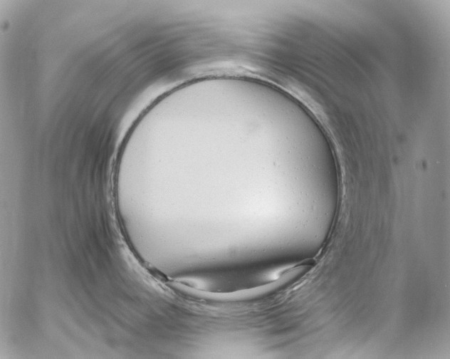 X0000053071392200508081208