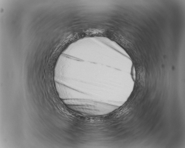 X0000053071393200508081208