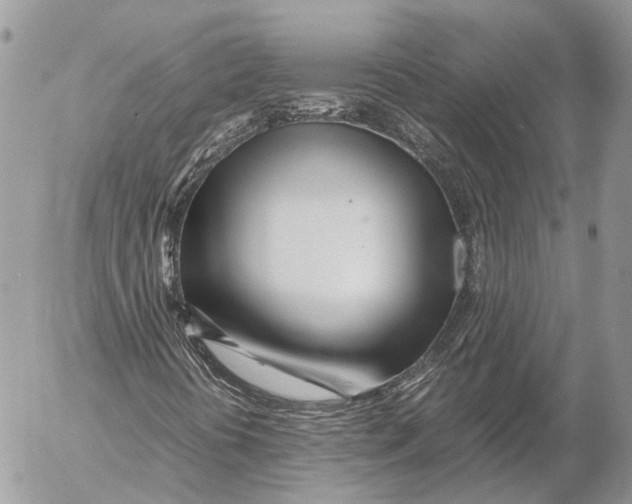 X0000053071394200508081208