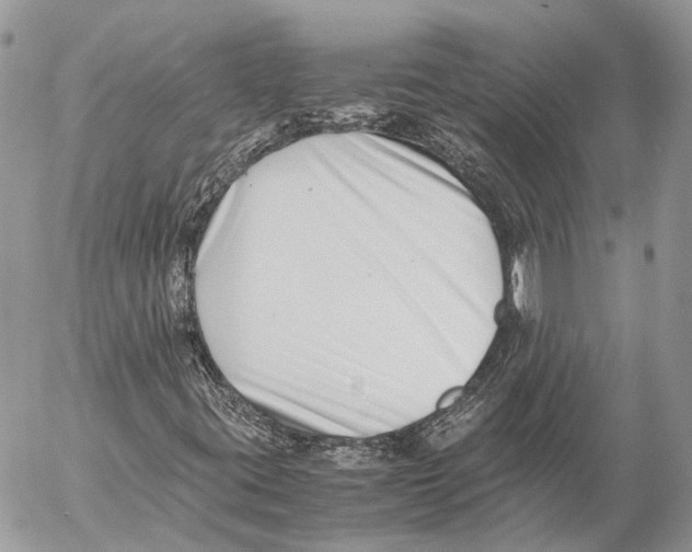 X0000053071395200508081208