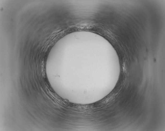 X0000053071396200508081208