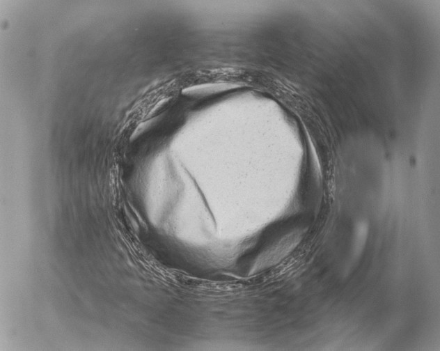 X0000053071397200508081208