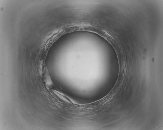 X0000053071398200508081208