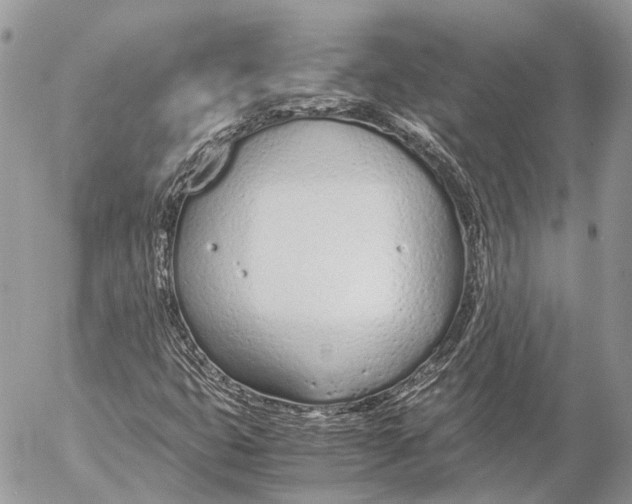 X0000053071399200508081208