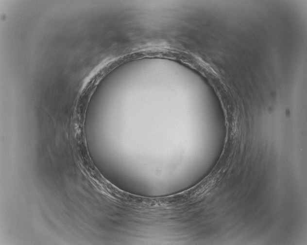 X0000053071400200508081208