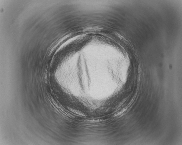 X0000053071401200508081208