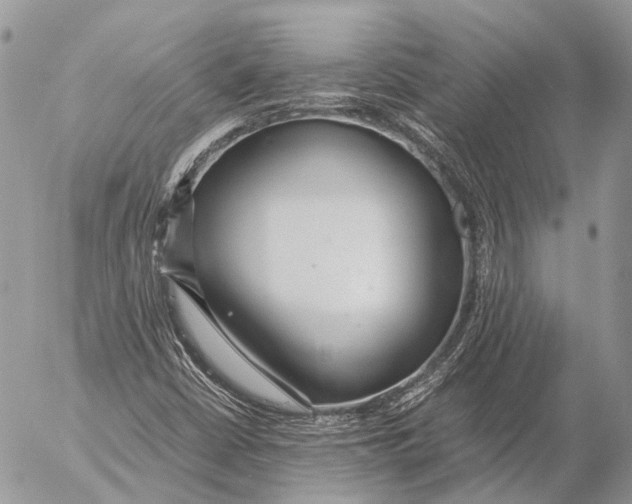 X0000053071402200508081208